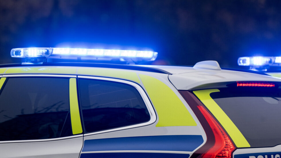 Mamma vädjade om hjälp att hitta sin försvunna son – nu stämmer DO polisen