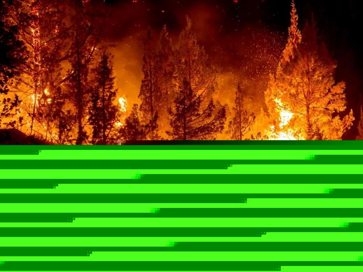 Wildfire Torches 30 Acres Near Liberty, Closes US-97 Blewett Pass