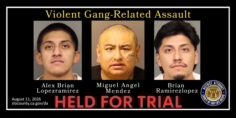 Judge advances gang-related assault case against three defendants