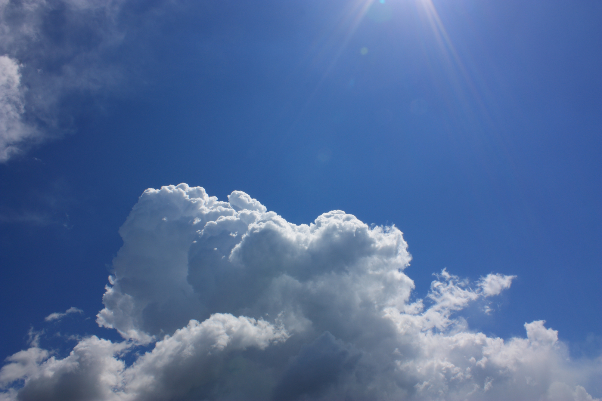 Weather Forecast for Thursday, January 29, 2026