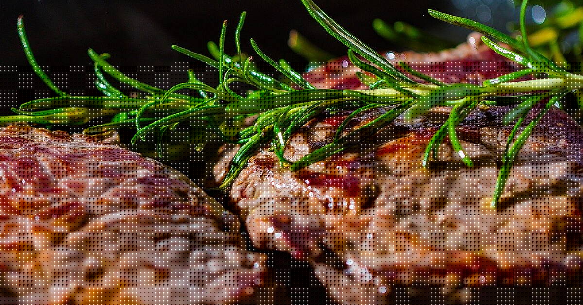 Potential EU Ban On Brazilian Meat Could Threaten Supply Chains And Prices – Rabobank