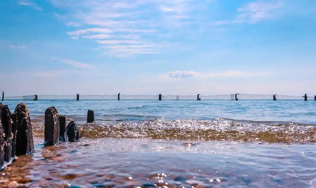 Comment on Tips for a Perfect Day at: Breezy Point Beach & Campground by Summer Nails 2025: The Ultimate Guide to This Year’s Hottest Trends - Amazingworld