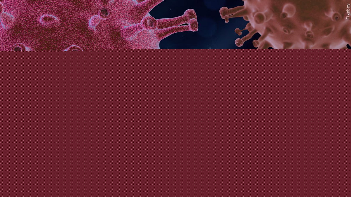 Severe COVID-19 linked to reactivation of some dormant viruses: Study