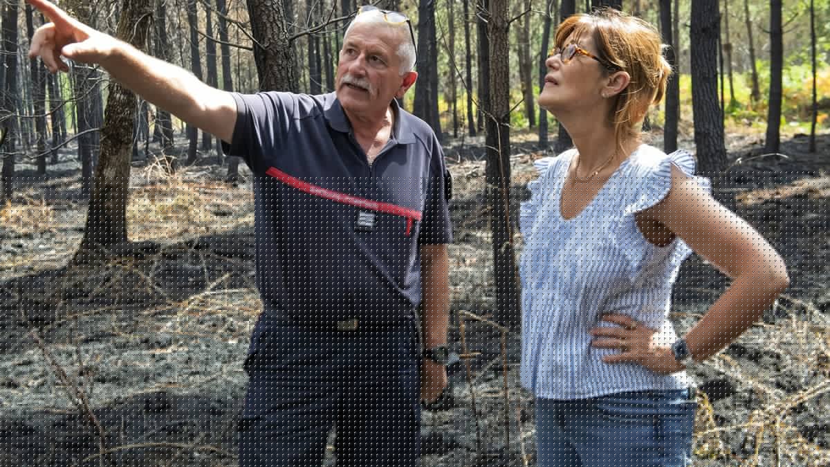 "La valeur du sauvé" : l'augmentation de la taxe sur les contrats d'assurance est la solution la plus équitable pour mieux financer les pompiers selon la présidente du Département de Lot-et-Garonne