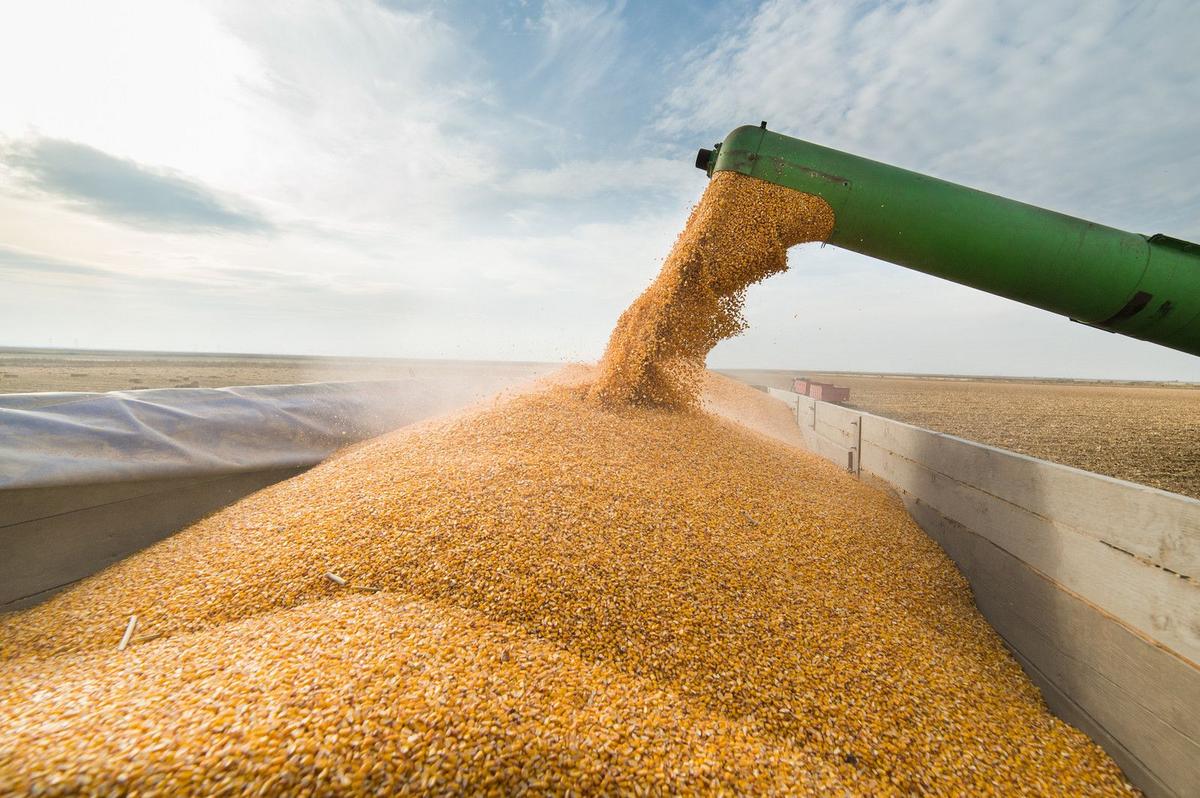 Exports To Canada And Mexico Fall Sharply In Latest Report