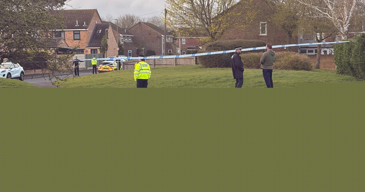 Naked man stabbed own mother as he 'believed she was evil', jury told