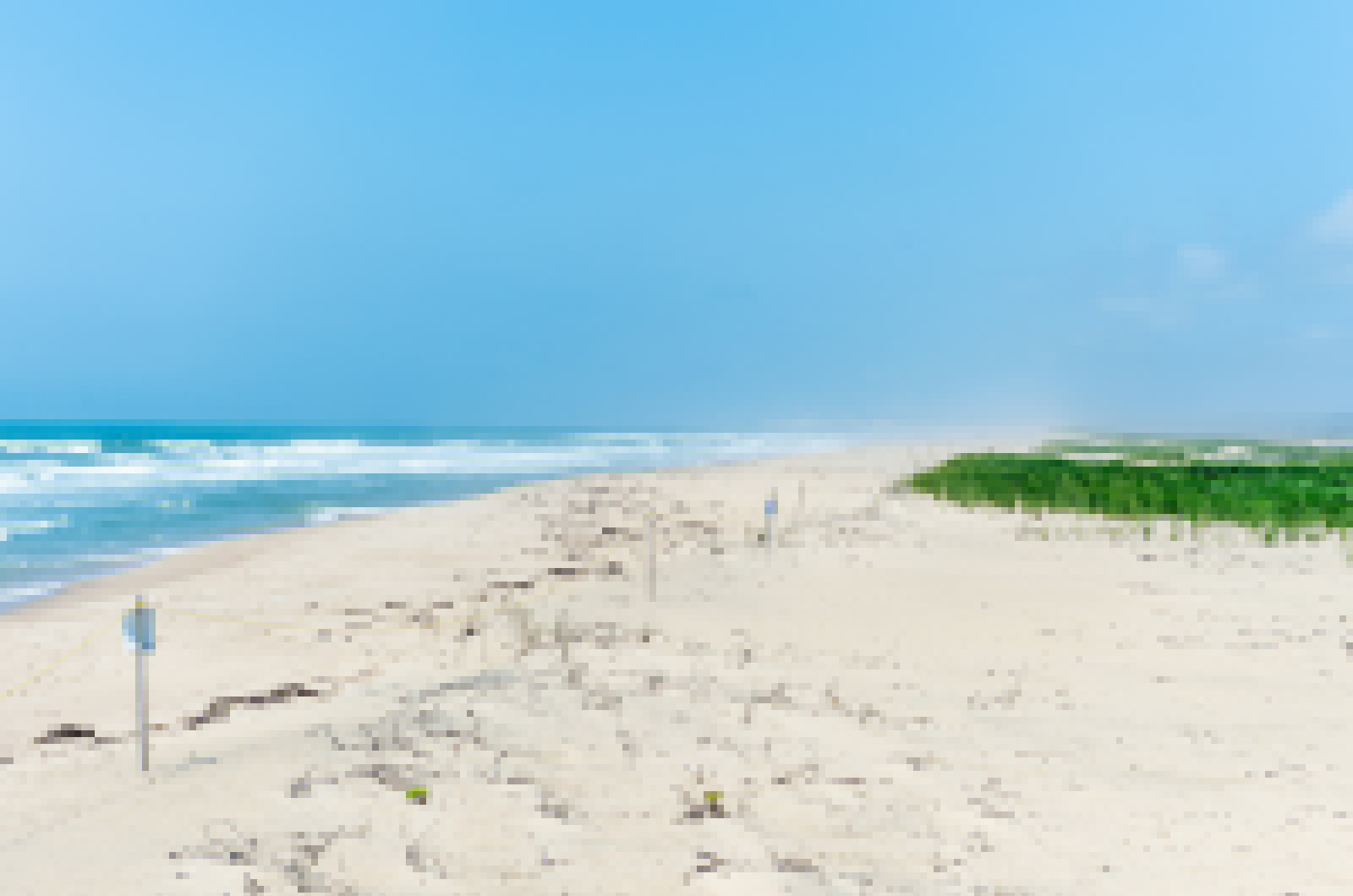 Father Dies Trying to Save His Sons Stuck in Rip Current