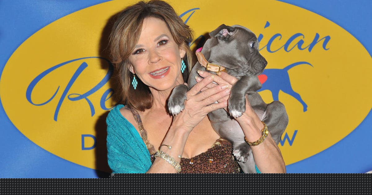 Investigators search 'Exorcist' actress Linda Blair's LA County animal rescue property for compliance