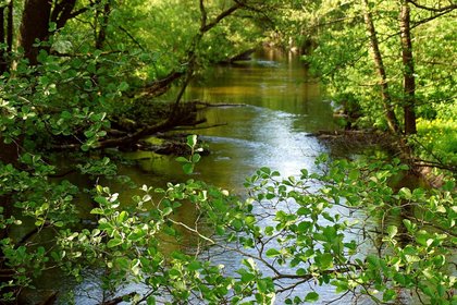 Ohio River Foundation awarded $1.4M to build wetlands in Pickaway County