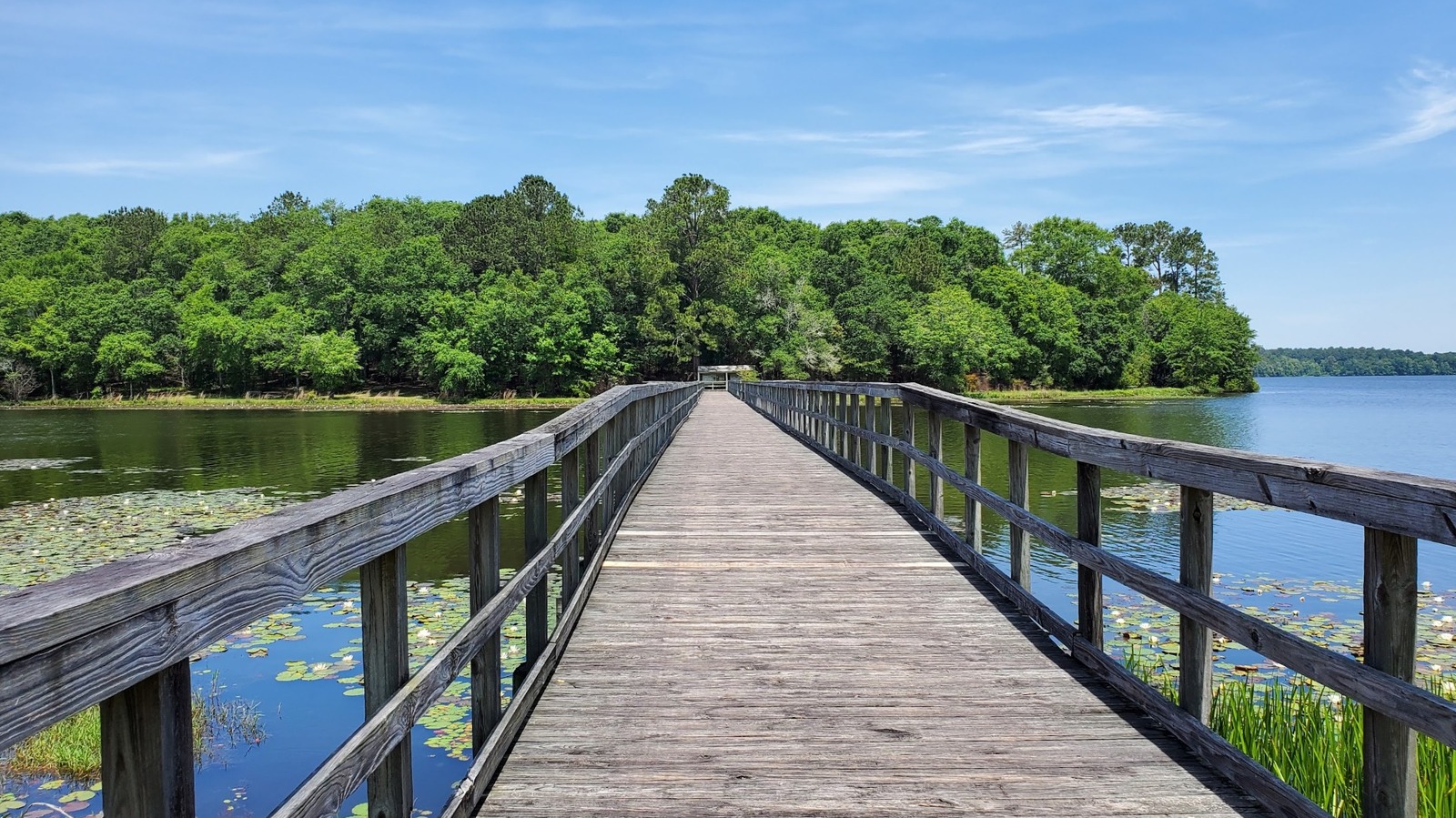 Alabama's Southern Lake State Park Is A Fun Day Trip With Camping, Outstanding Fishing, And Boardwalk Beauty