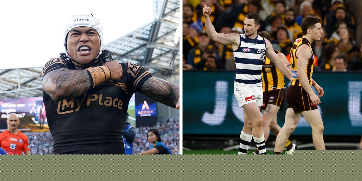 Sports Wrapped: Dominant Felines (and a shark)