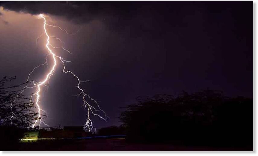 Lightning strike kills 29 goats and 2 dogs in Maharashtra, India