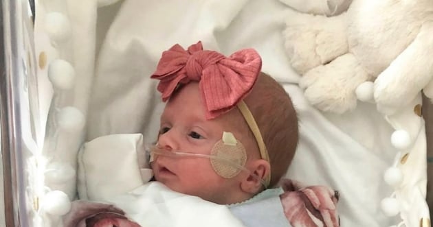 How a Mother’s Simple Gift Became a Lifeline for Thousands of NICU Babies