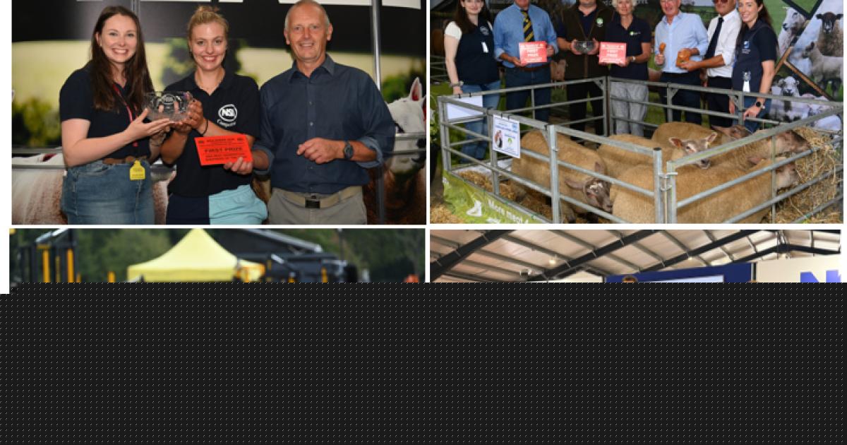 Herefordshire farmer named among UK's best young shepherds