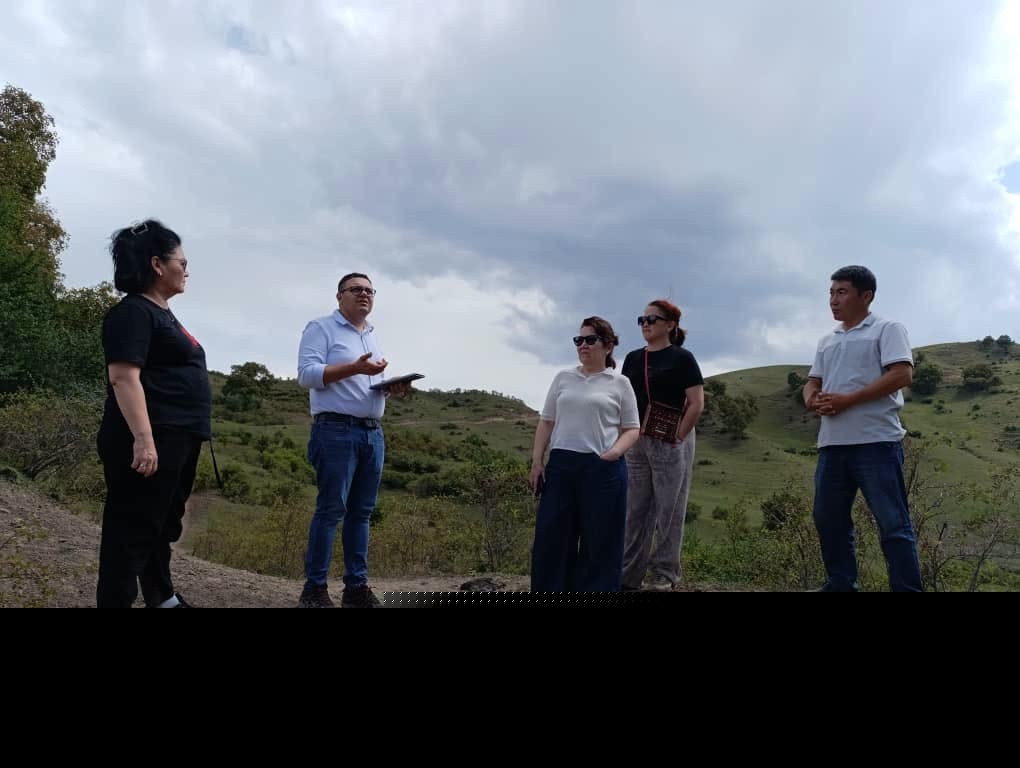 Более 700 гектаров в&nbsp;двух районах проверяют для будущих посадок деревьев