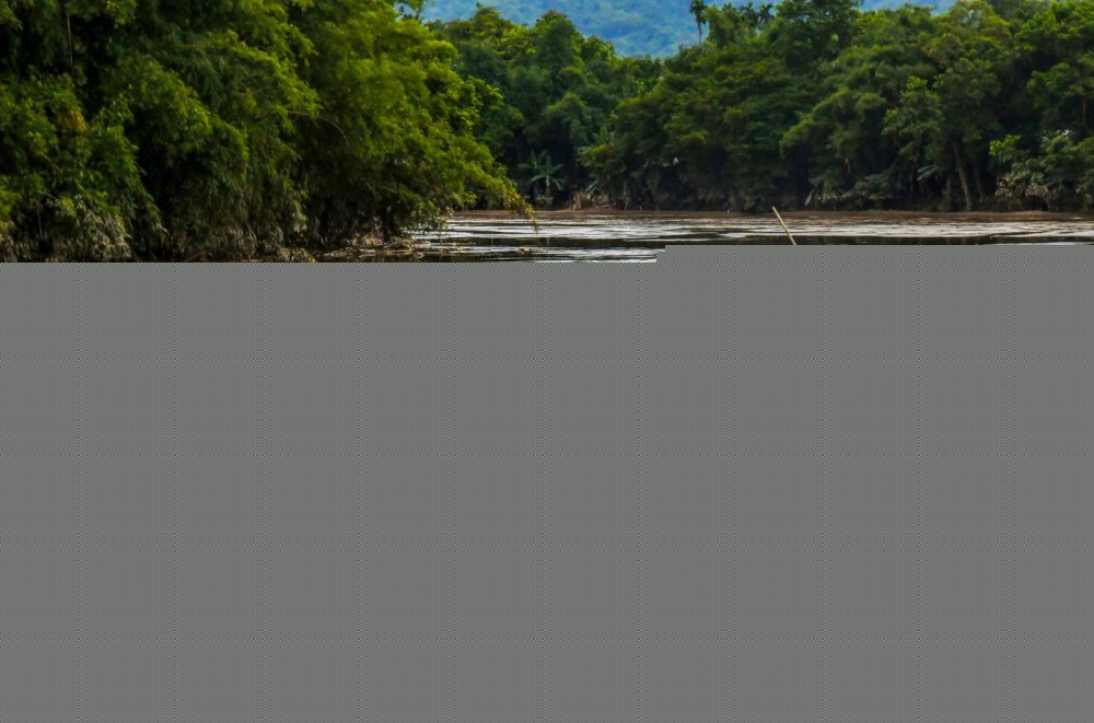 No dam or reservoir exists  in Mon dist: Konyak Union