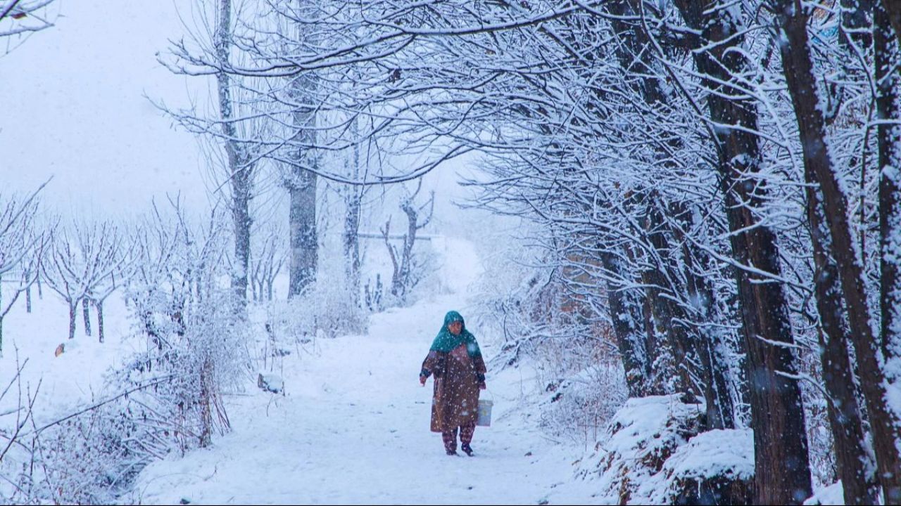 Western disturbance triggers avalanches in hills; Rain and hail lash plains