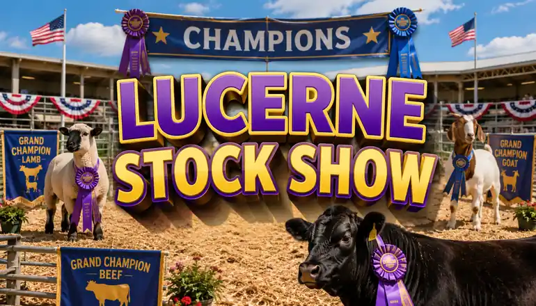 Winners announced from Friday’s annual Lucerne Stock Show