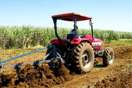 Cameroon's 200,000-Hectare Farm Land Plan Struggles to Attract Large-Scale Investment