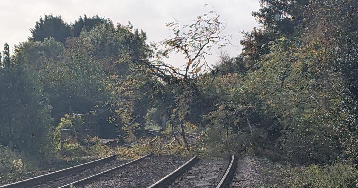 Train delayed after tree falls on railway line in market town