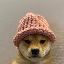dogwifhat (WIF) Price Tops $0.14 on Exchanges