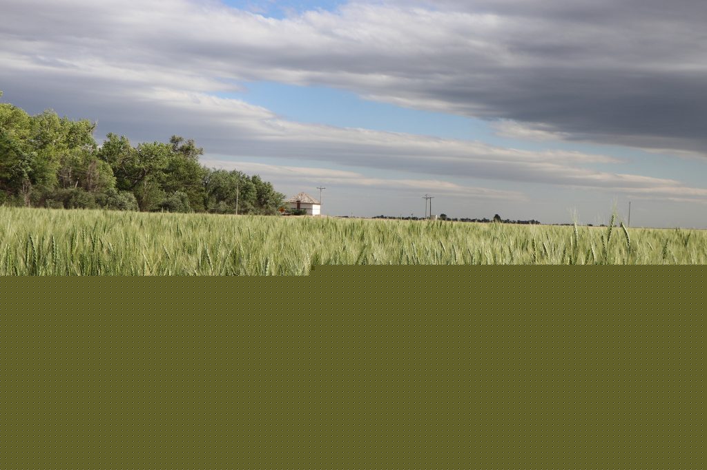 One-on-one financial consultations available for Panhandle farmers and ranchers Aug. 10-12