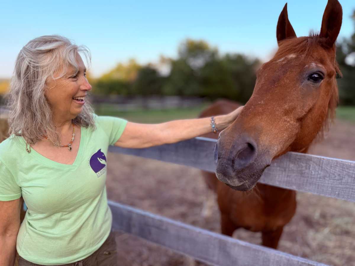 After Jamaica Bay Riding Academy closes, rescued horses find new homes