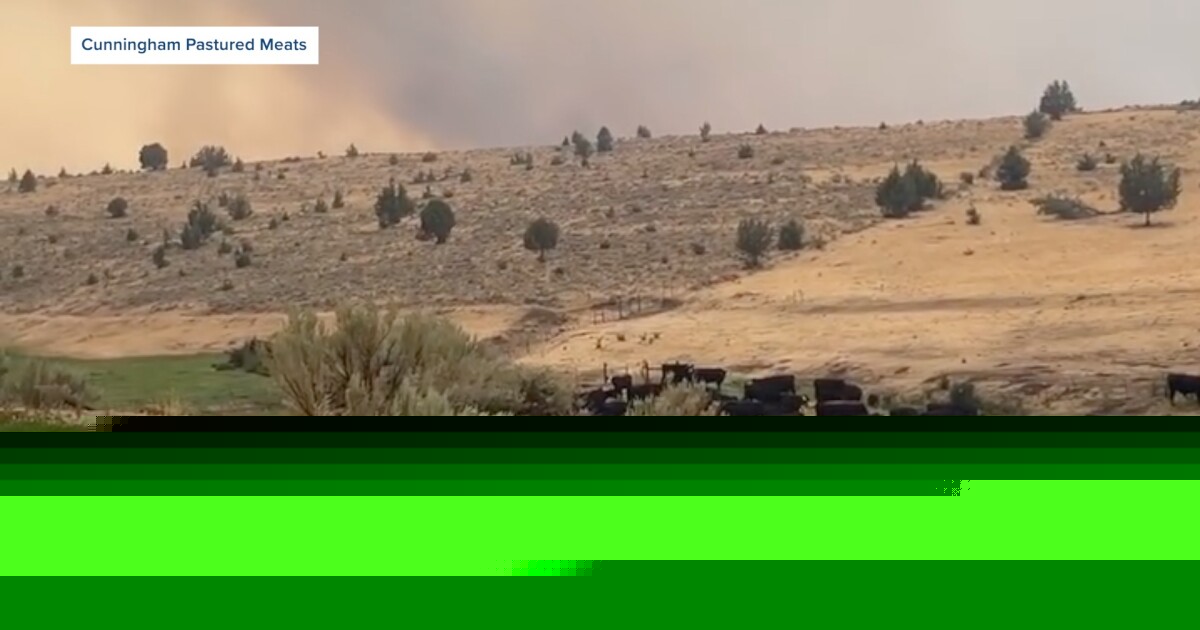 Community rallies to support ranchers as Big Grass Fire threatens livelihoods
