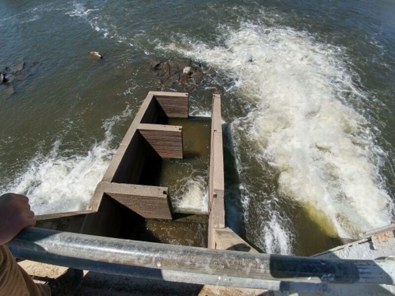 Companies say California denied them due process in Ninth Circuit water rights case