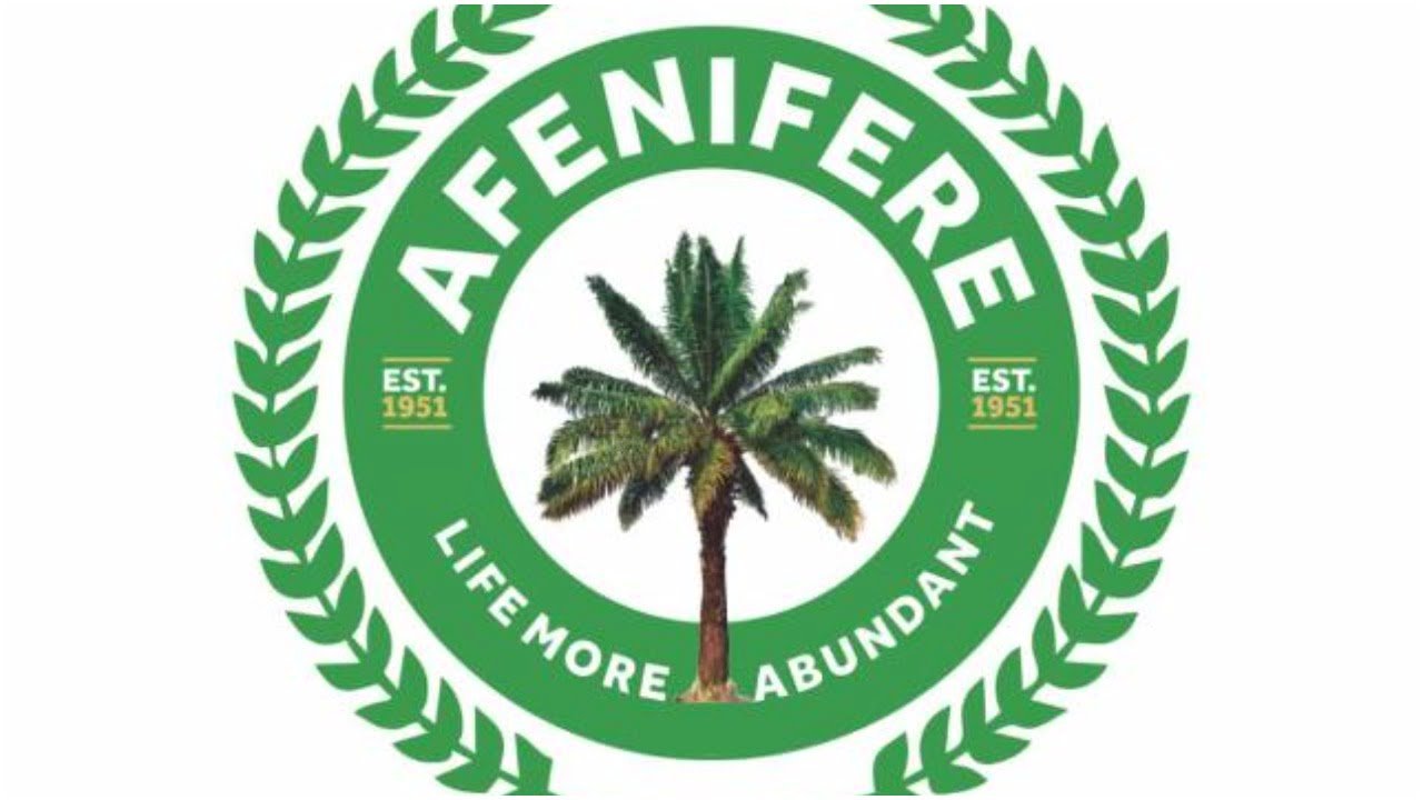 Terrorist incursion into Kwara, Kogi attempt to create ‘state within state’ — Afenifere
