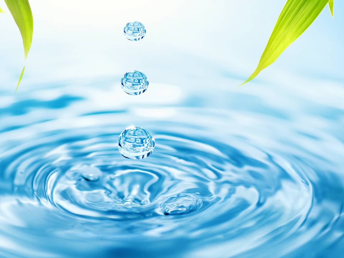 Saudi Arabia has officially declared 2027 the ‘Year of Water’ as the Cabinet approves a series of major policy decisions