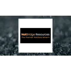 NatBridge Resources Ltd. (OTCMKTS:NATBF) Short Interest Down 91.6% in January