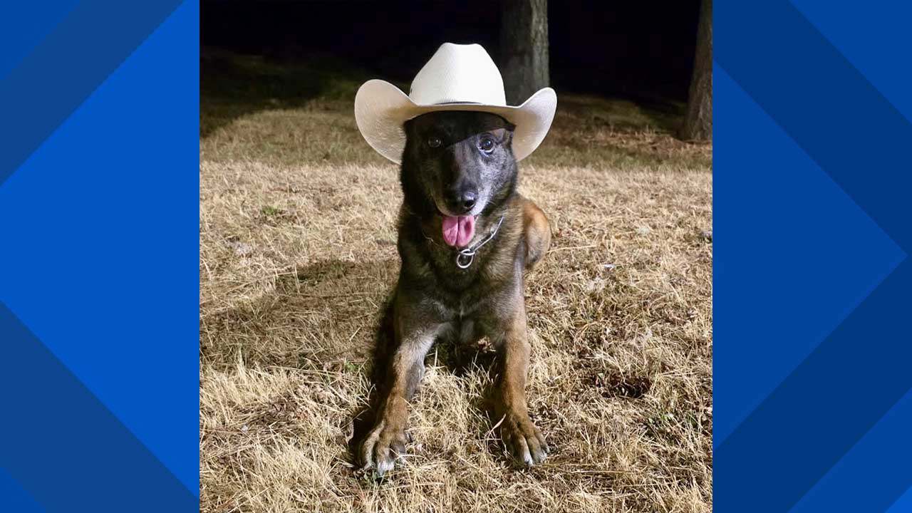 Oregon Deputies Say K9 Bit Through Suspect’s Phone Near Cottage Grove Moments Before It Caught Fire