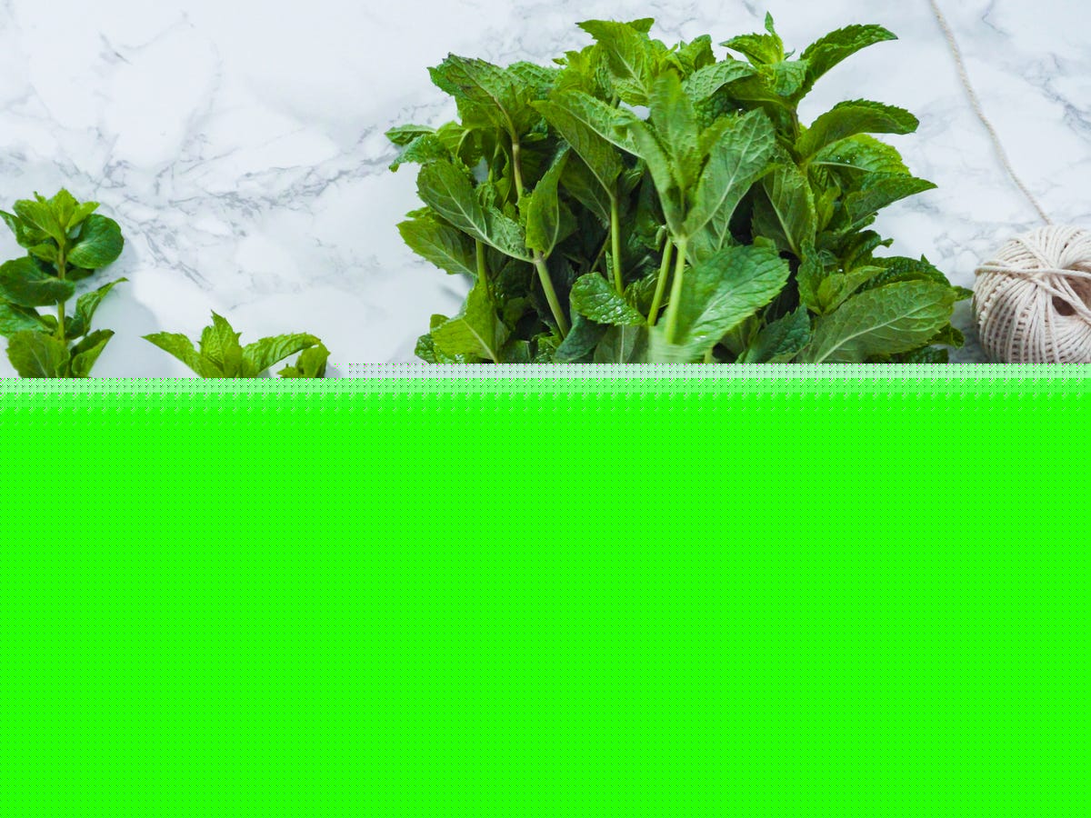 Experts Reveal 9 Delicious Ways to Use Up Mint Before It Goes Bad