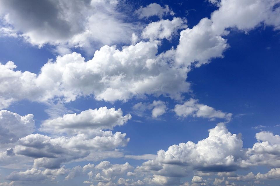Cooldown in the forecast this week for Paso Robles