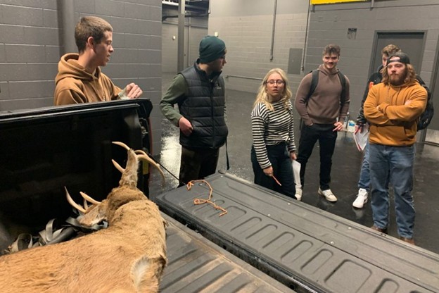 Dead deer and small fish: Michigan students learn to investigate poaching