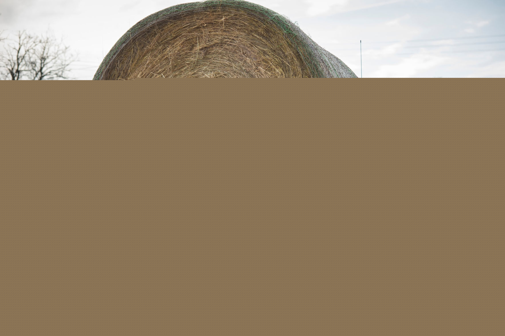 Kansas Hay Report