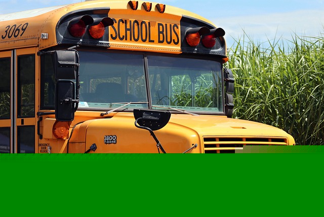 Comment on More than 6,000 stop-arm citations issued in last school year by Len Sheldon