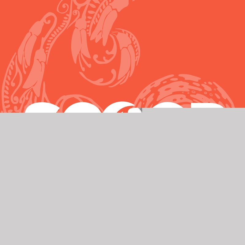 The State Of The New Zealand Economy: A Balance-Sheet Recession?