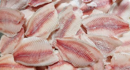 Vietnam’s US tilapia exports boom as competitors face steep trade barriers