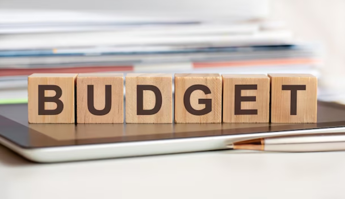 'Budget should ease household burden': Homemakers seek middle-class, women-friendly Union Budget