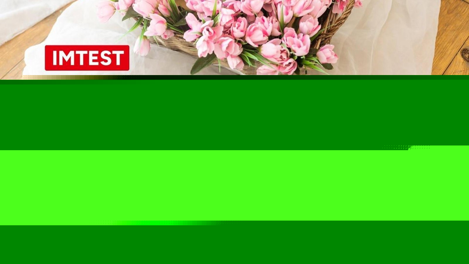 Fotobuch im Test: Der beste Anbieter für kreative Drucke