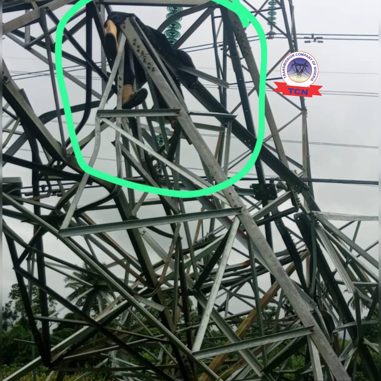 Suspected Vandal Found Dead Under Collapsed Transmission Tower in Delta