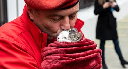 Early Addition: Trump not a fan of Curtis Sliwa's cats moving into 'magnificent' Gracie Mansion