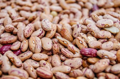 Local Farms Lend A Hand In Bean Cleanup After Truck Flips