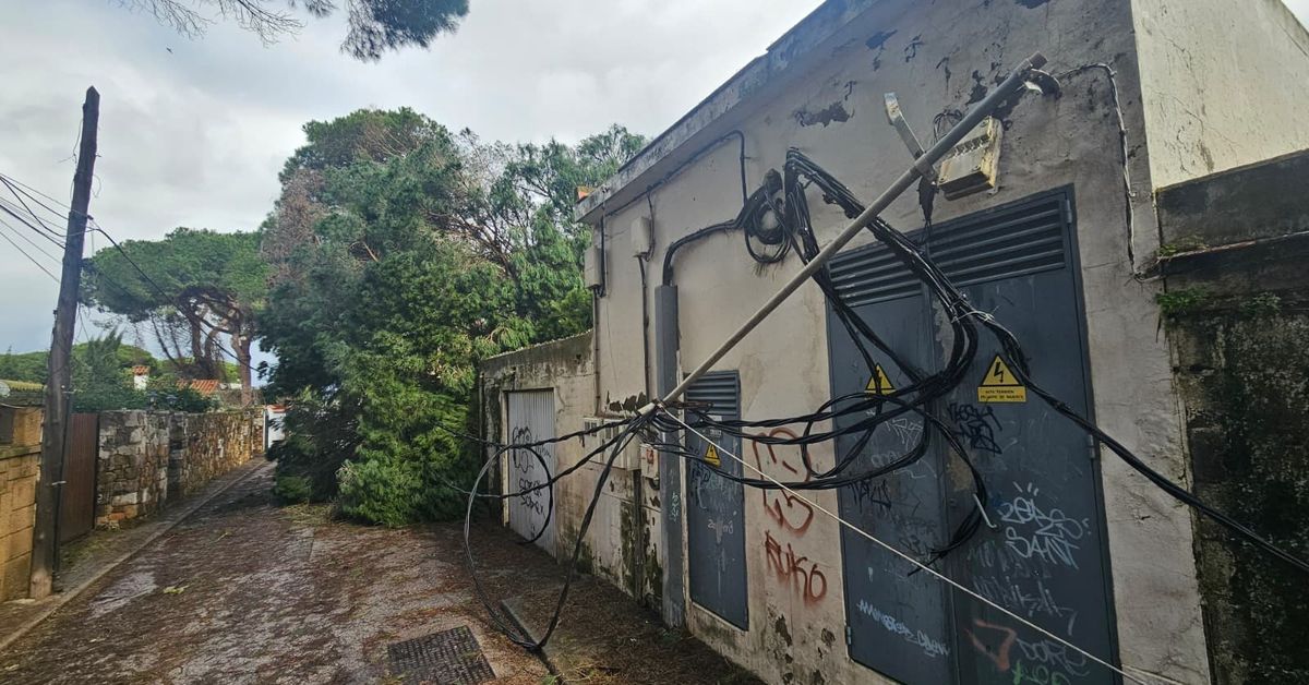 Vecinos de Algeciras llevan 24 horas sin electricidad tras la borrasca Kristin mientras Endesa trabaja para reparar las averías
