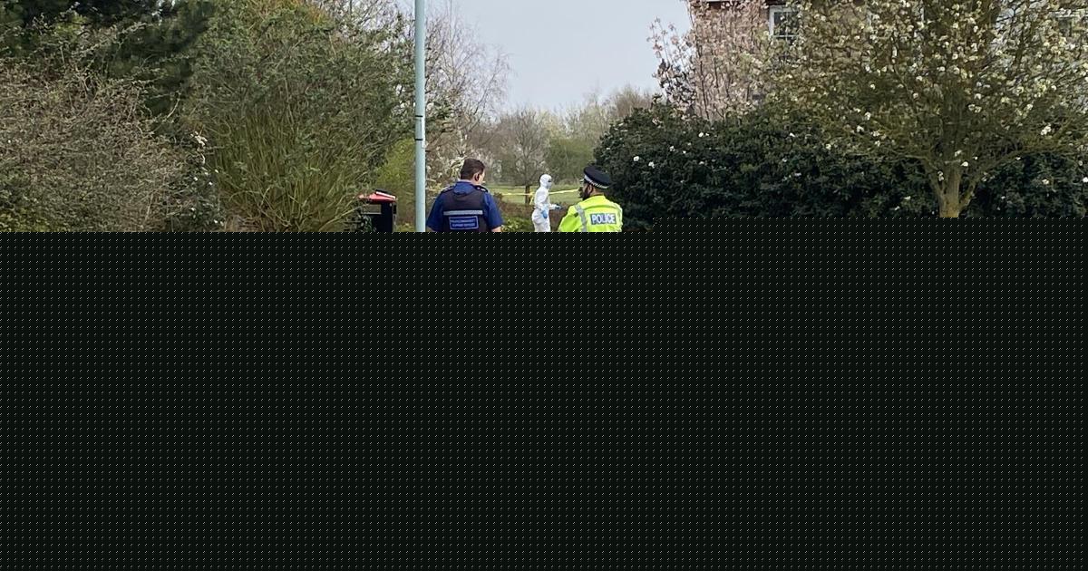 Teen arrested for attempted murder five months on from 'life-threatening' stabbing