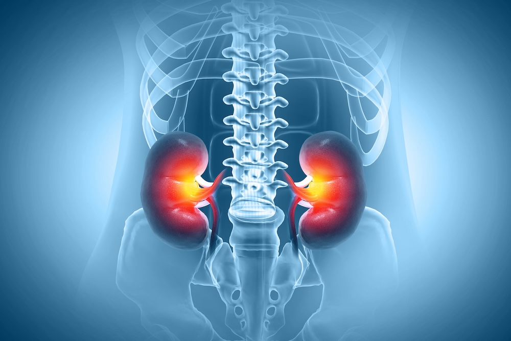 Diabetes Drug May Protect Against Kidney Inflammation