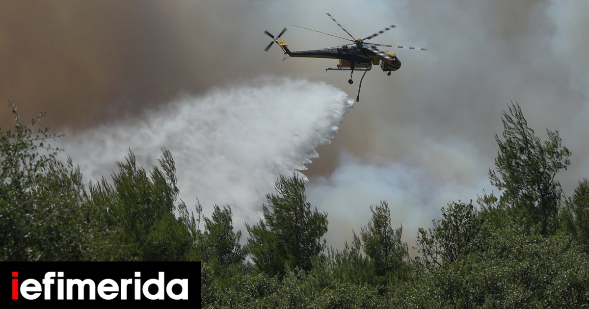 Συναγερμός στον Πύργο Ηλείας: Φωτιά σε δασική έκταση στο Μουζάκι -Στην μάχη 9 εναέρια μέσα, ενισχύθηκαν οι δυνάμεις