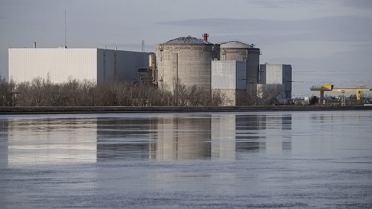 Quallen stören Kühlung: EDF fährt drei Reaktoren im AKW Gravelines herunter